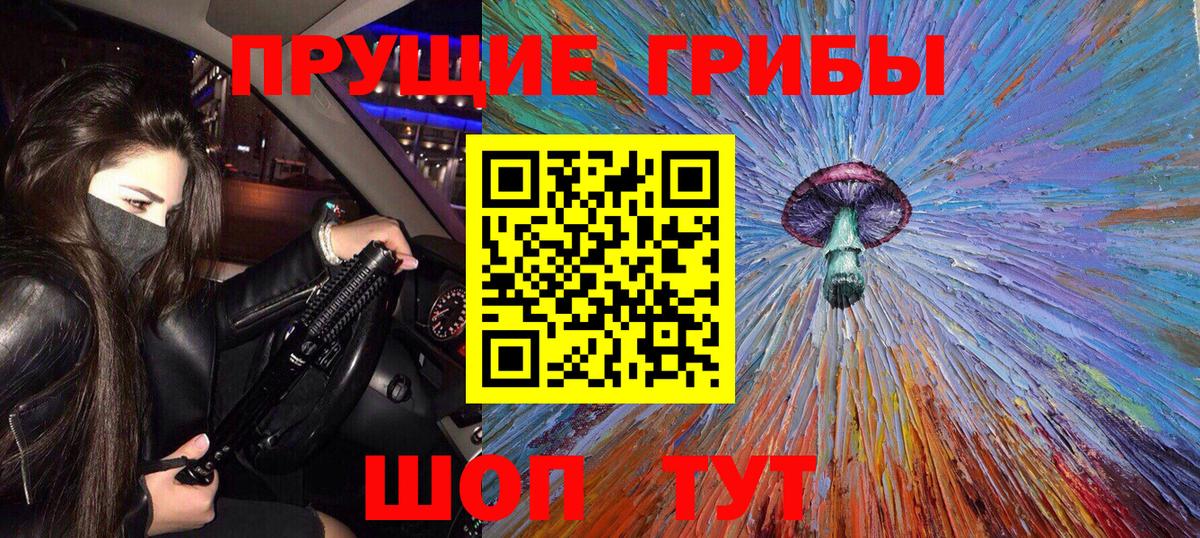 Кулебаки  Галлюциногенные грибы Psilocybe  Вход с VPN 