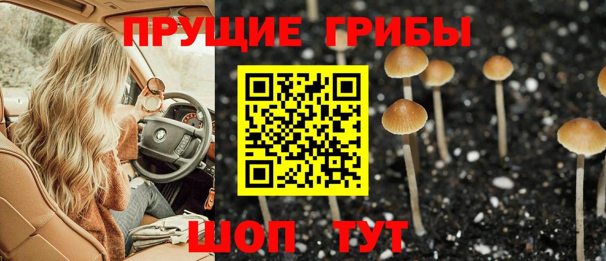 Псилоцибиновые грибы Cubensis Кулебаки